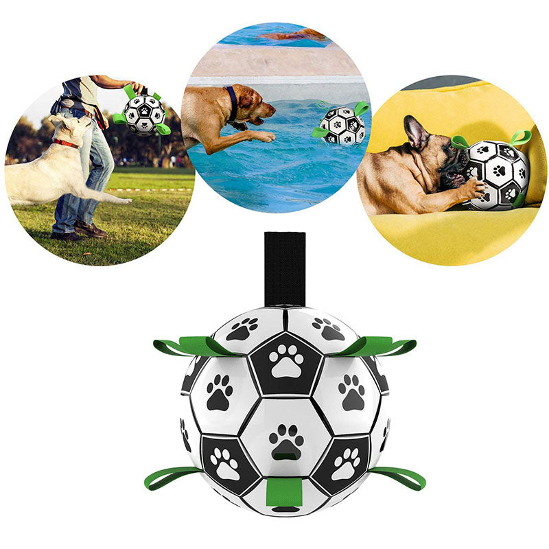 PataGol™ - Abenteuerball für Hunde