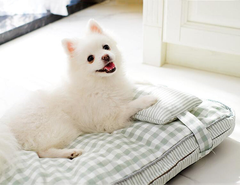 Pet Amore Bett | Für Hunde und Katzen