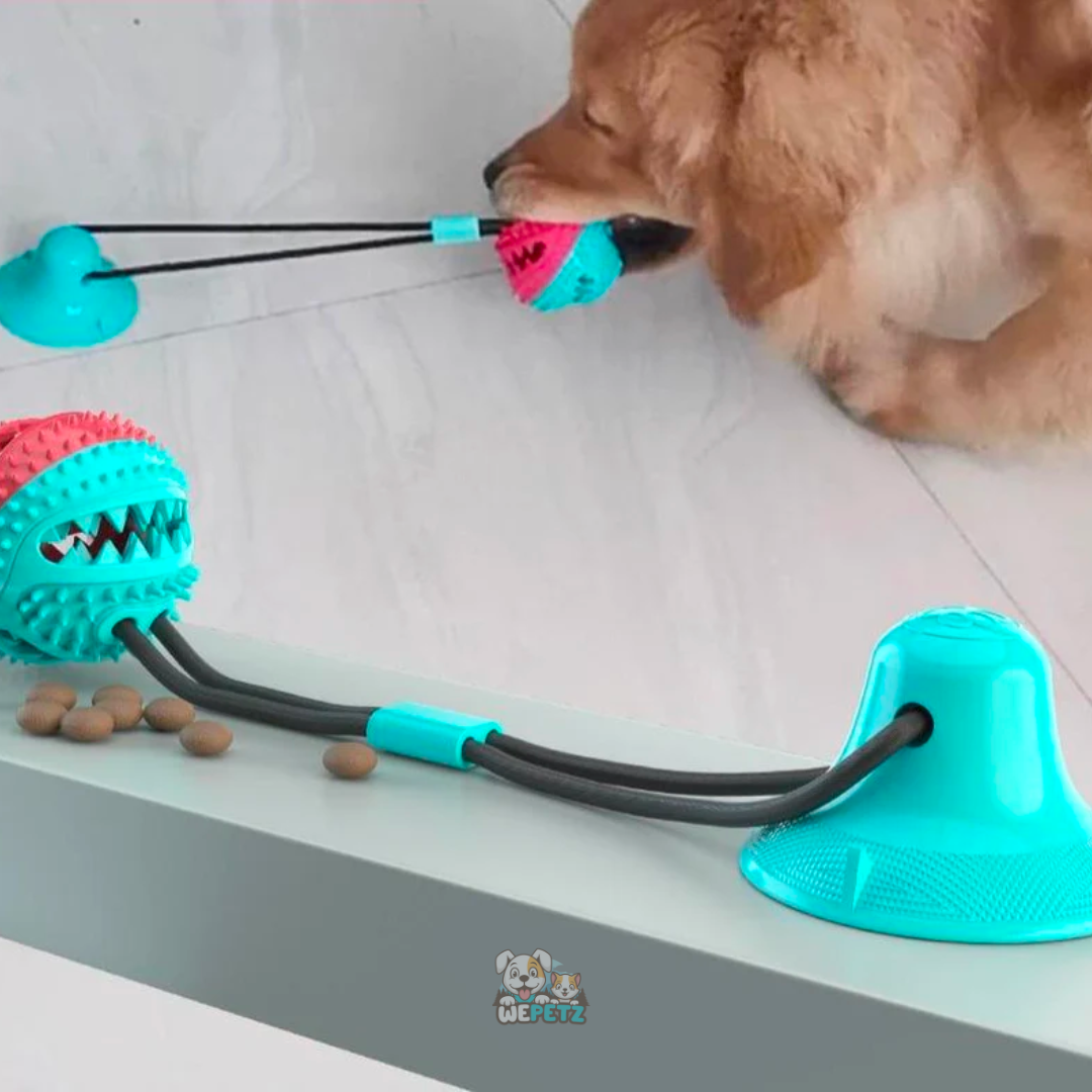 Tauziehen-Spielzeug mit Leckerli-Halter und Beißring für Hunde