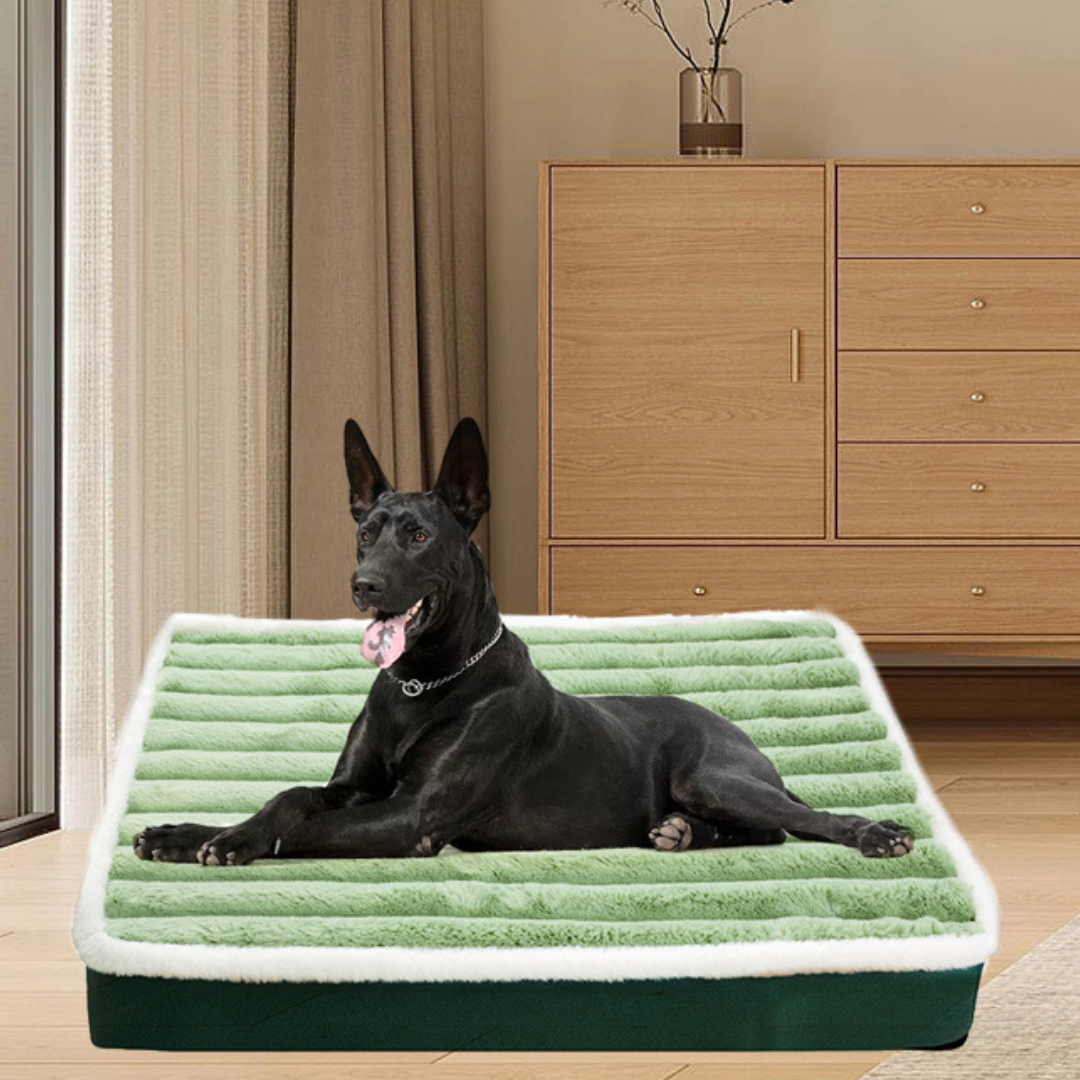 Haustier-Kingsize-Bett | Für Hunde und Katzen