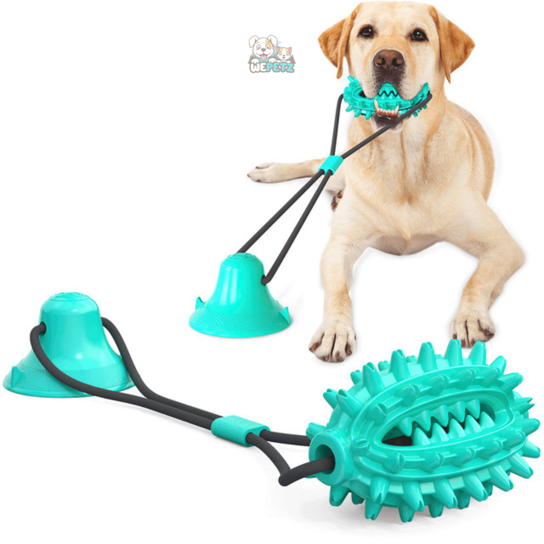 Tauziehen-Spielzeug mit Leckerli-Halter und Beißring für Hunde
