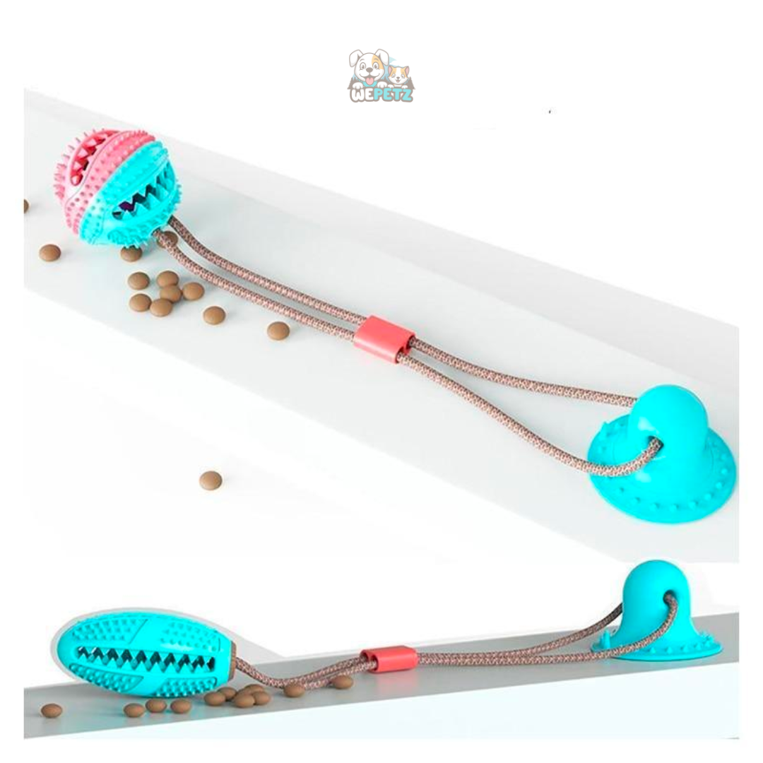Tauziehen-Spielzeug mit Leckerli-Halter und Beißring für Hunde
