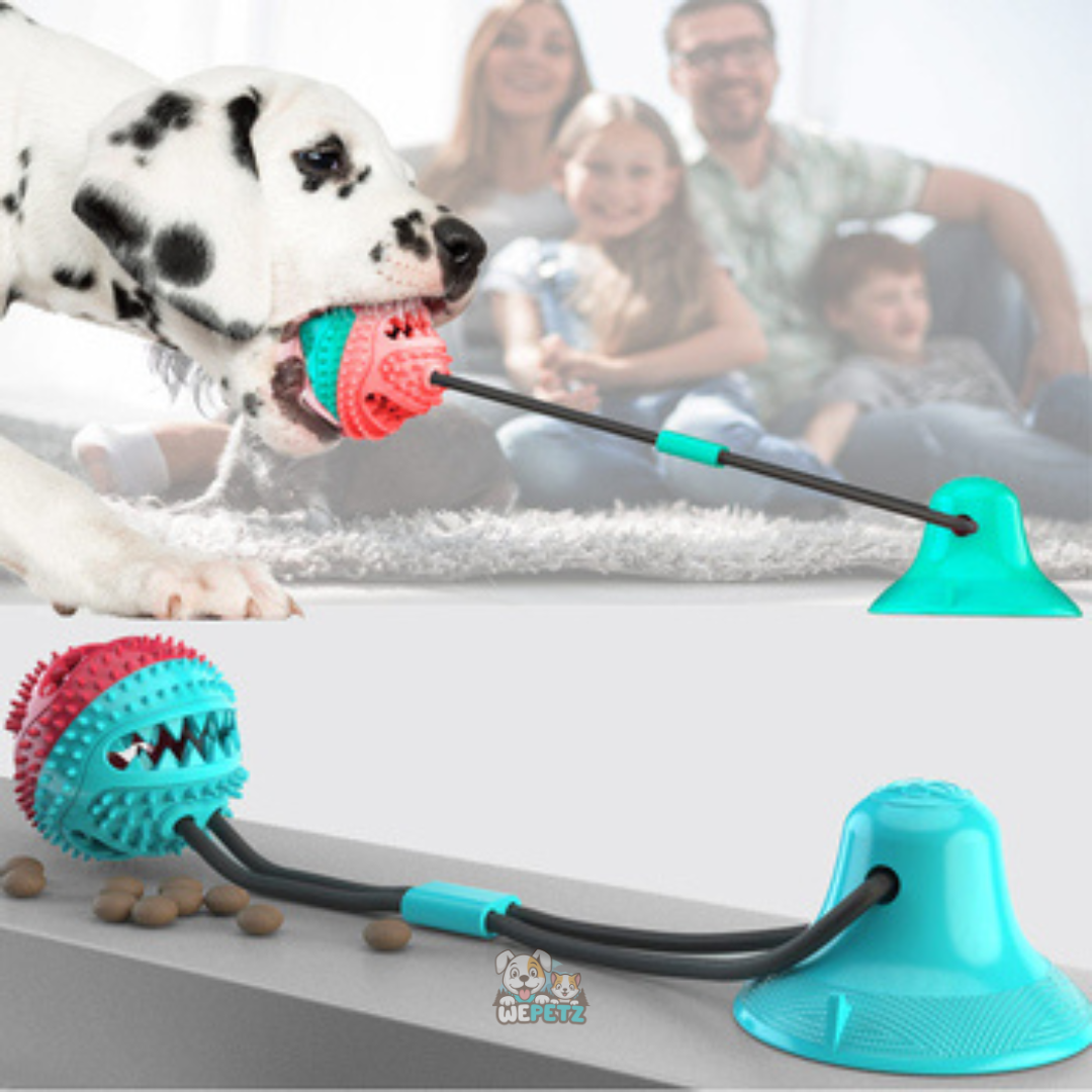 Tauziehen-Spielzeug mit Leckerli-Halter und Beißring für Hunde