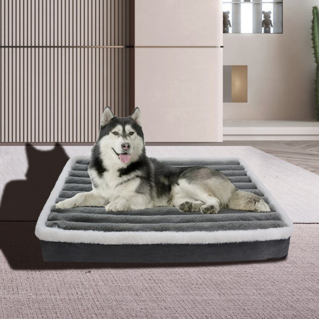 Haustier-Kingsize-Bett | Für Hunde und Katzen