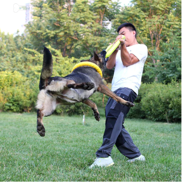 Kauspielzeug für Hunde – Trainingsscheibe