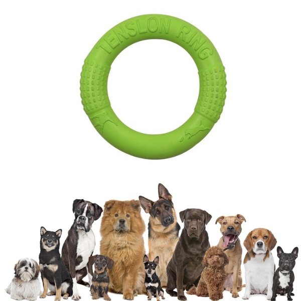 Kauspielzeug für Hunde – Trainingsscheibe