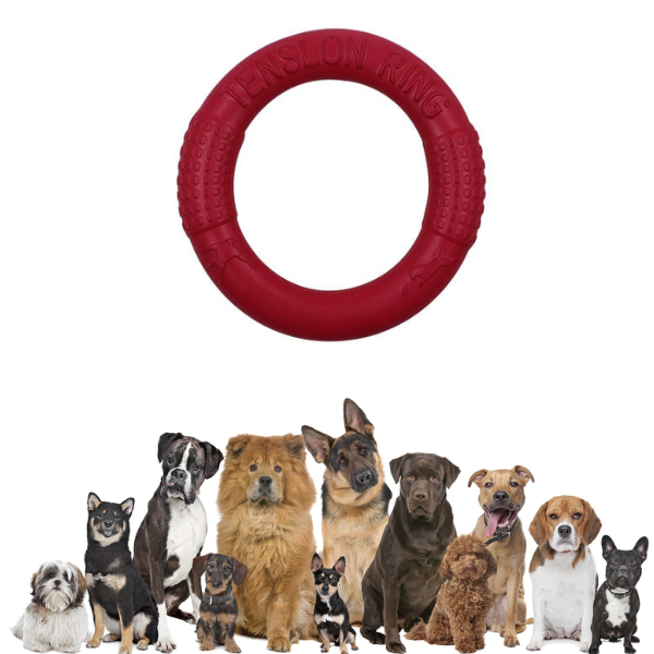 Kauspielzeug für Hunde – Trainingsscheibe