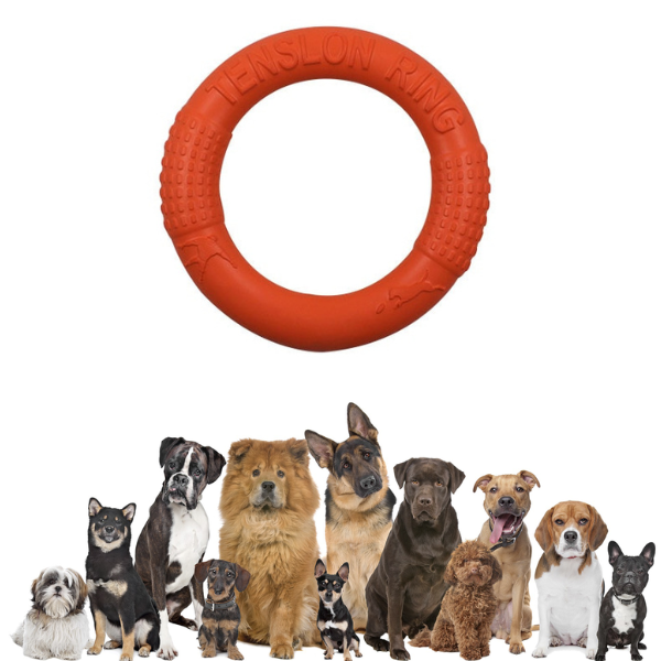 Kauspielzeug für Hunde – Trainingsscheibe