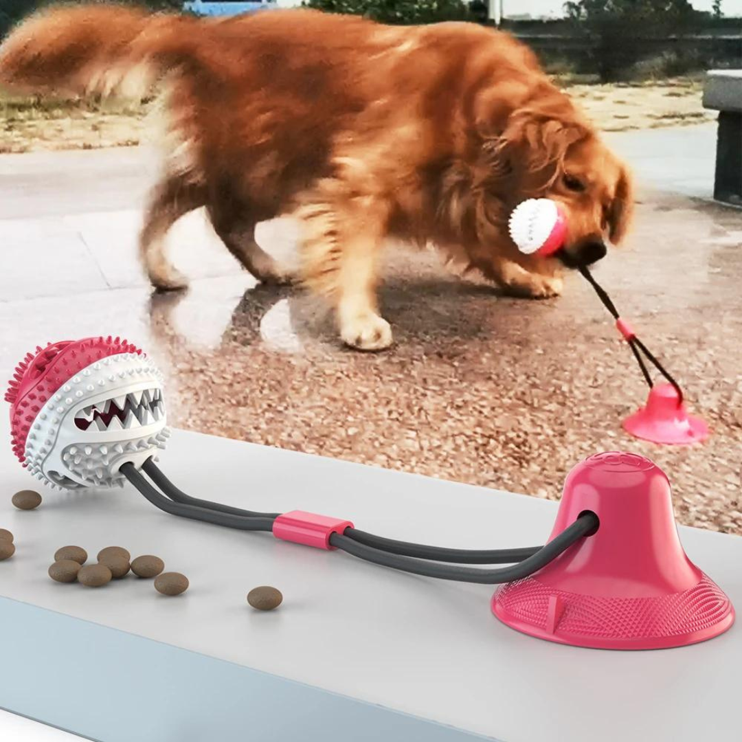 Tauziehen-Spielzeug mit Leckerli-Halter und Beißring für Hunde