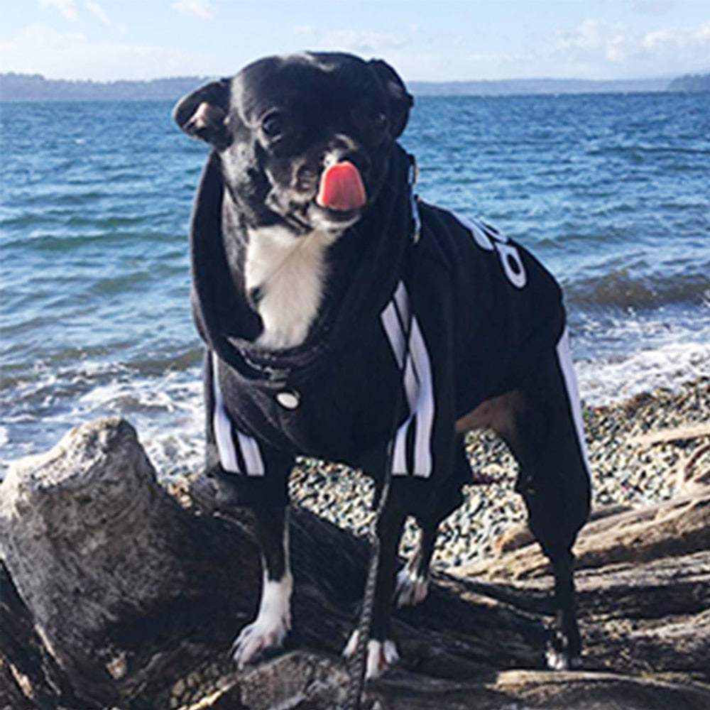 Adidog Sweatshirt
