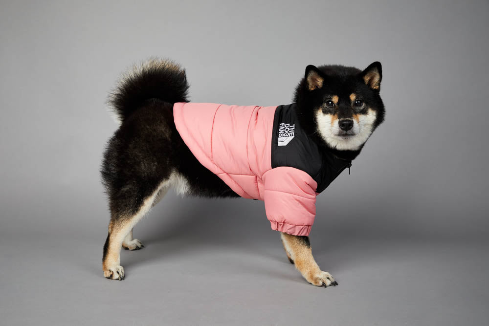 Die Hundefans Jacke | Für Hunde