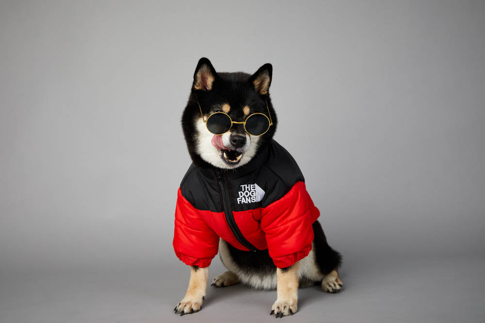 Die Hundefans Jacke | Für Hunde