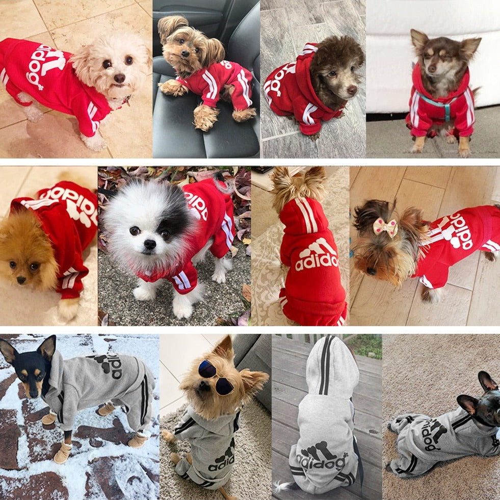 Adidog Sweatshirt