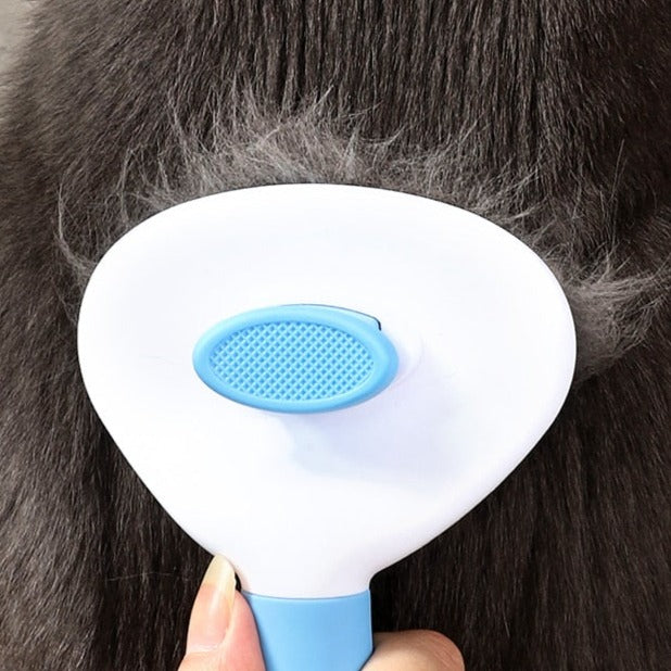 Petly 2-in-1-Bürste
