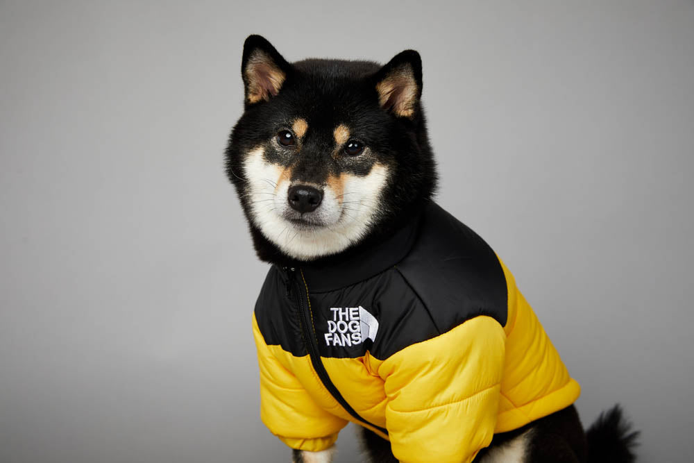 Die Hundefans Jacke | Für Hunde