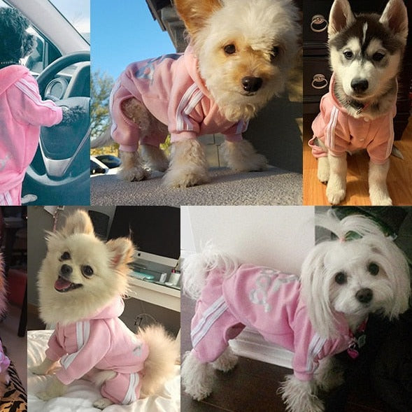 Adidog Sweatshirt