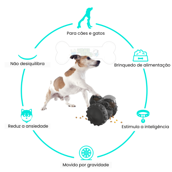 Interaktives Spielzeug für Hunde und Katzen - Toy Tumbler
