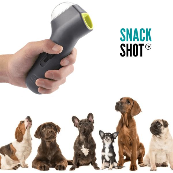Interaktives Hundetrainingsspielzeug – Snack Shot