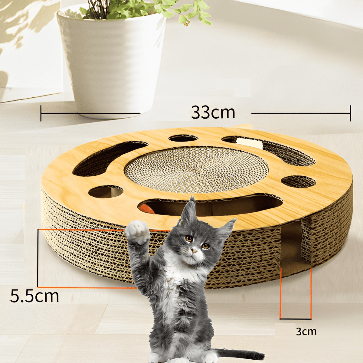 2-in-1-Katzenkratzbaum und Spielzeug - Cat Play