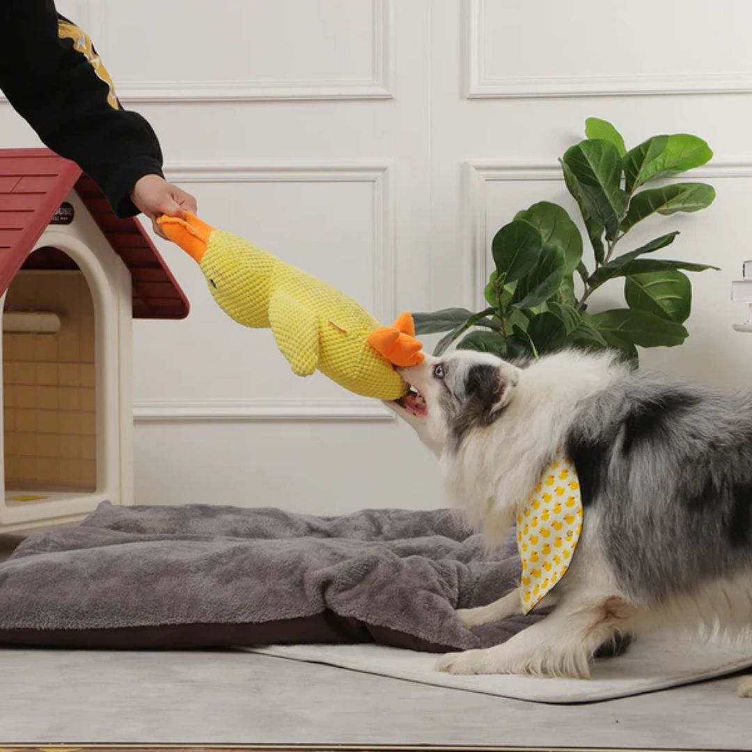 Plushente Freund – Der beste Begleiter für dein Haustier