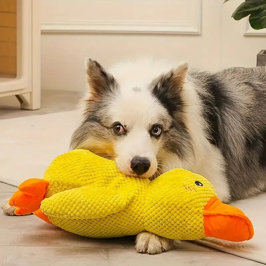 Plushente Freund – Der beste Begleiter für dein Haustier