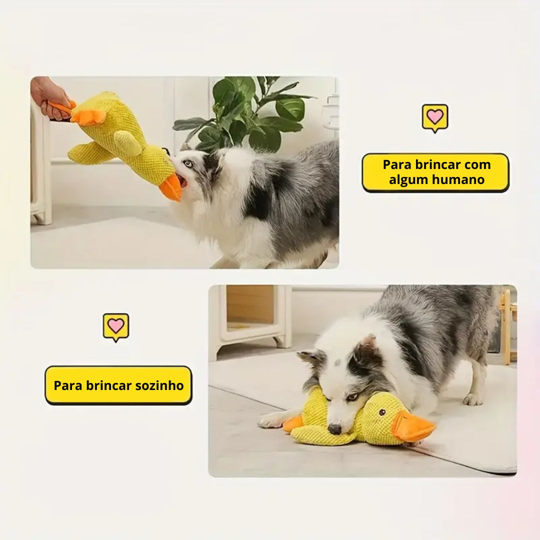 Plushente Freund – Der beste Begleiter für dein Haustier
