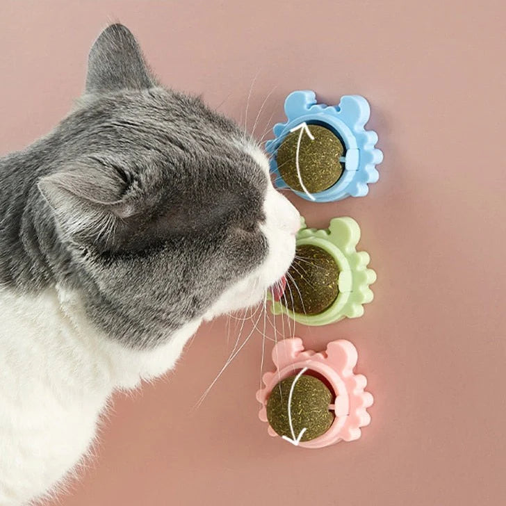 Pet Relax - Rollende Avocado