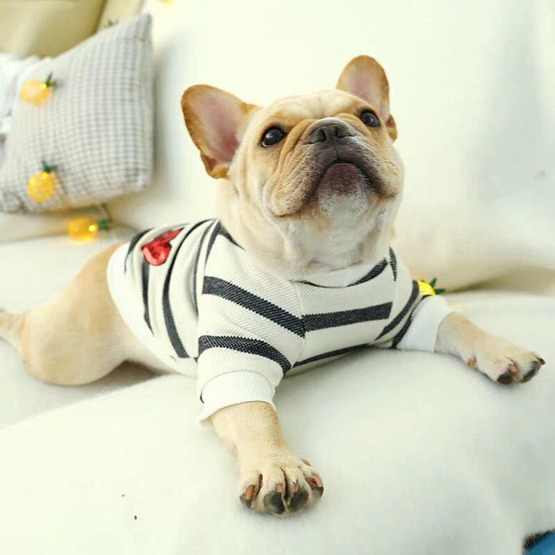 Pet Love Coat | Für Hunde und Katzen