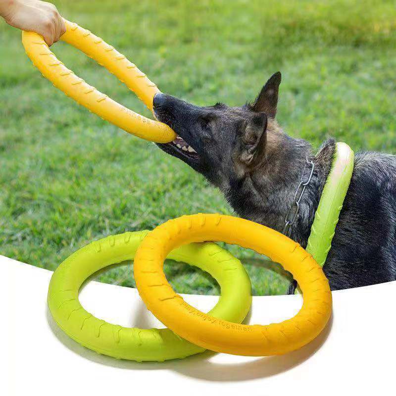 Kauspielzeug für Hunde – Trainingsscheibe