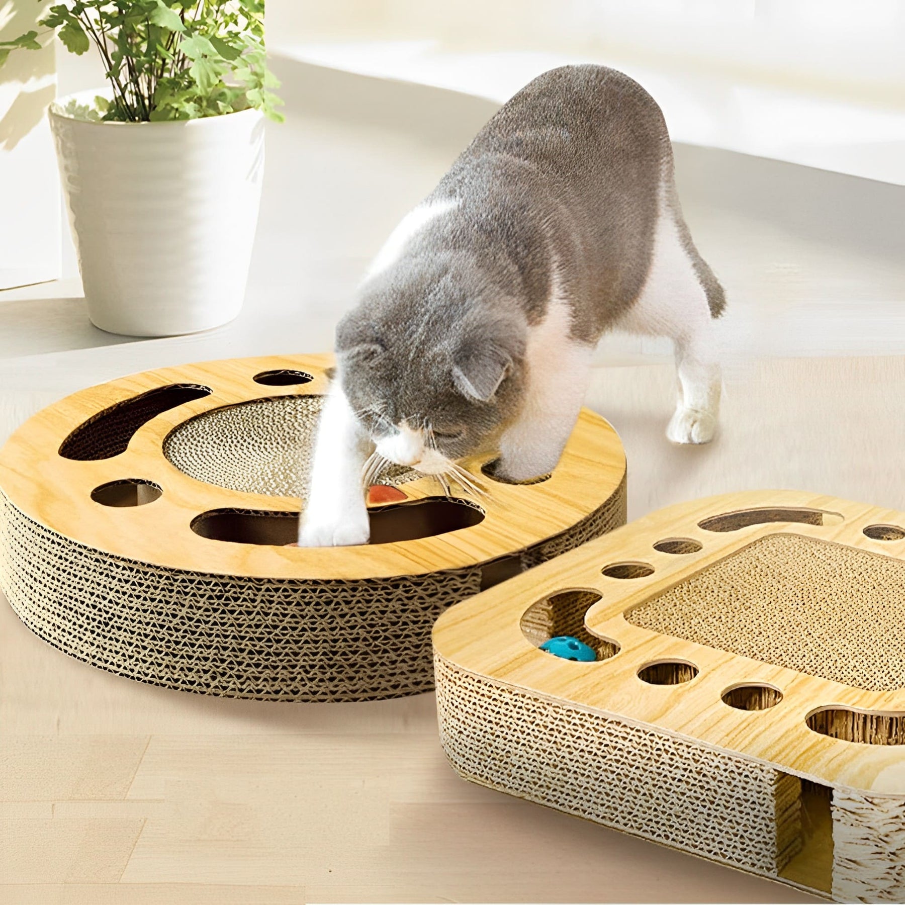 2-in-1-Katzenkratzbaum und Spielzeug - Cat Play