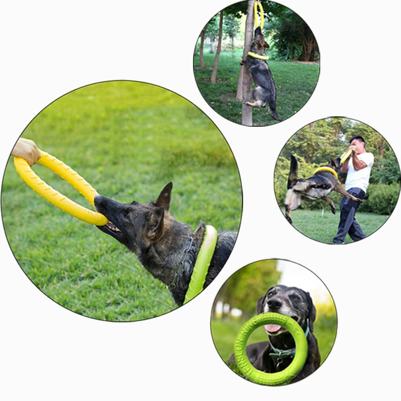 Kauspielzeug für Hunde – Trainingsscheibe