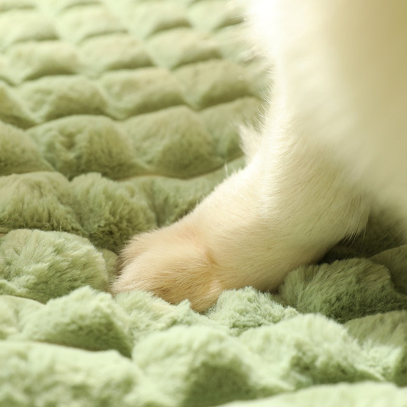 Peace Sleep Haustiermatratze | Für Hunde und Katzen