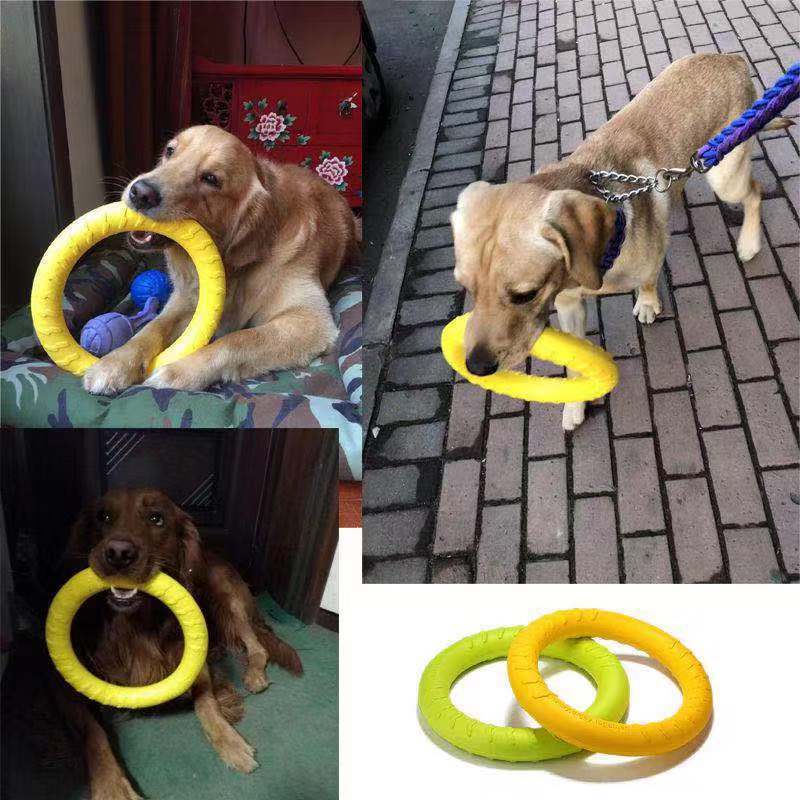 Kauspielzeug für Hunde – Trainingsscheibe