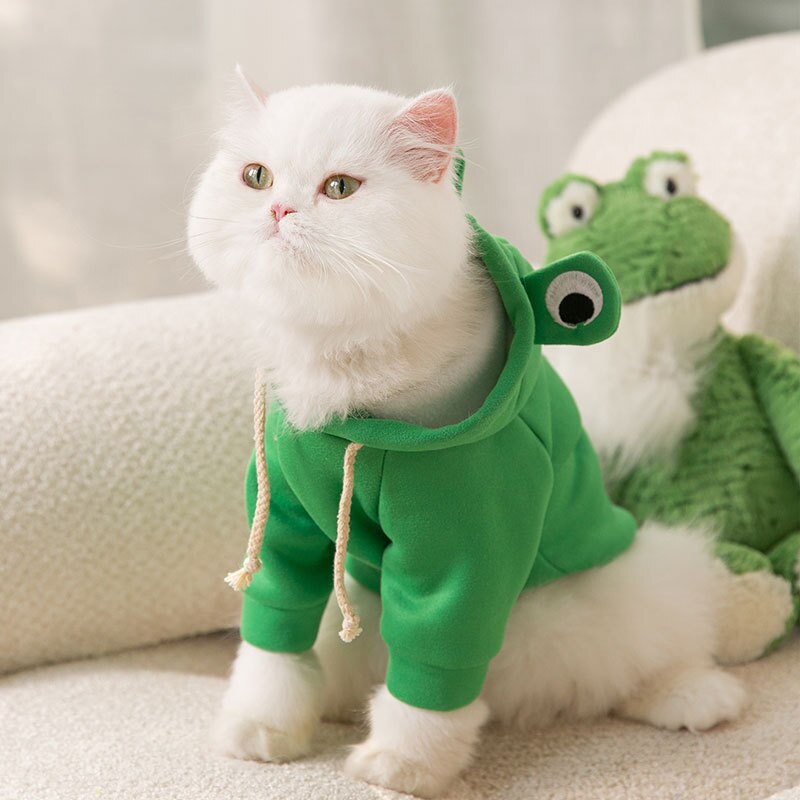 Erstaunliches Frosch-Sweatshirt