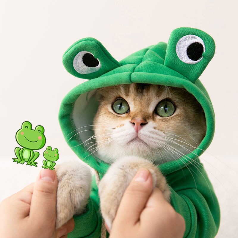 Erstaunliches Frosch-Sweatshirt