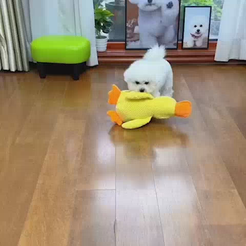 Plushente Freund – Der beste Begleiter für dein Haustier