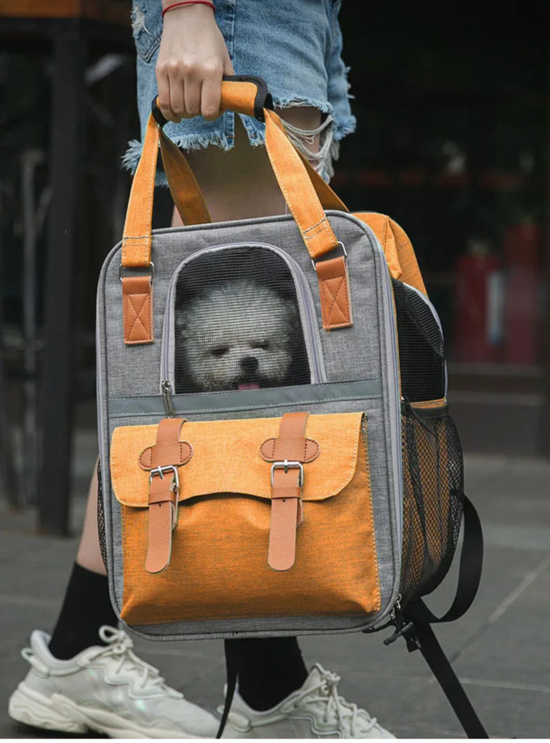 Hundetransporttasche für bis zu 10kg - Einziehbar