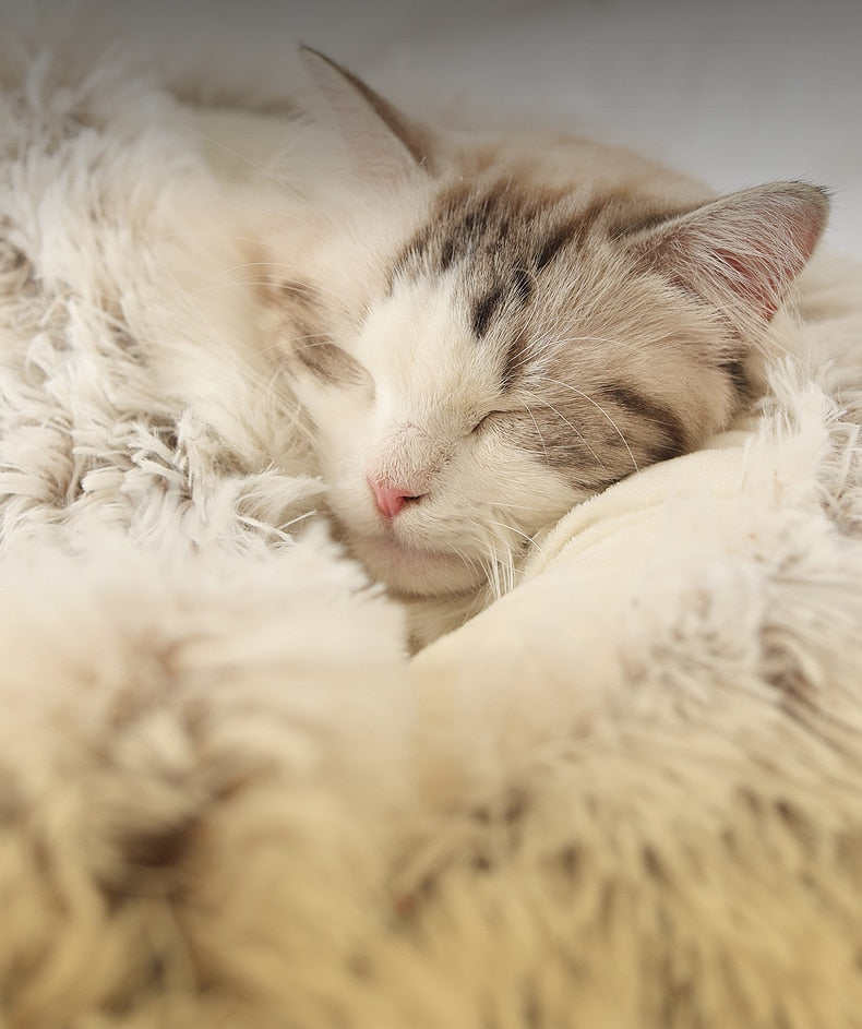Cloud Laufstall | Für Hunde und Katzen