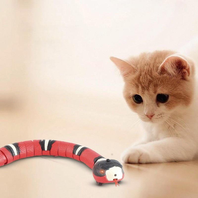 Smart Snake für Katzen