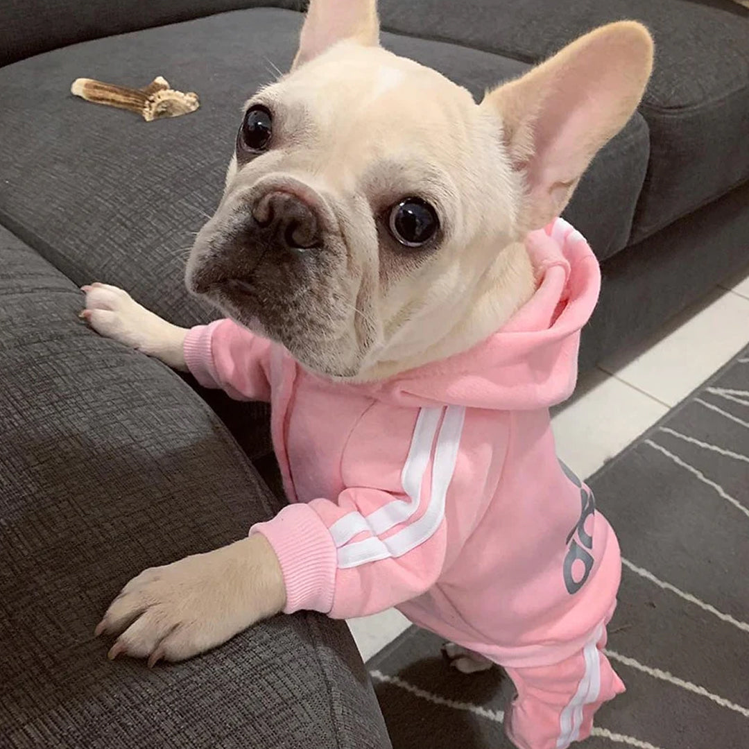 Adidog Sweatshirt