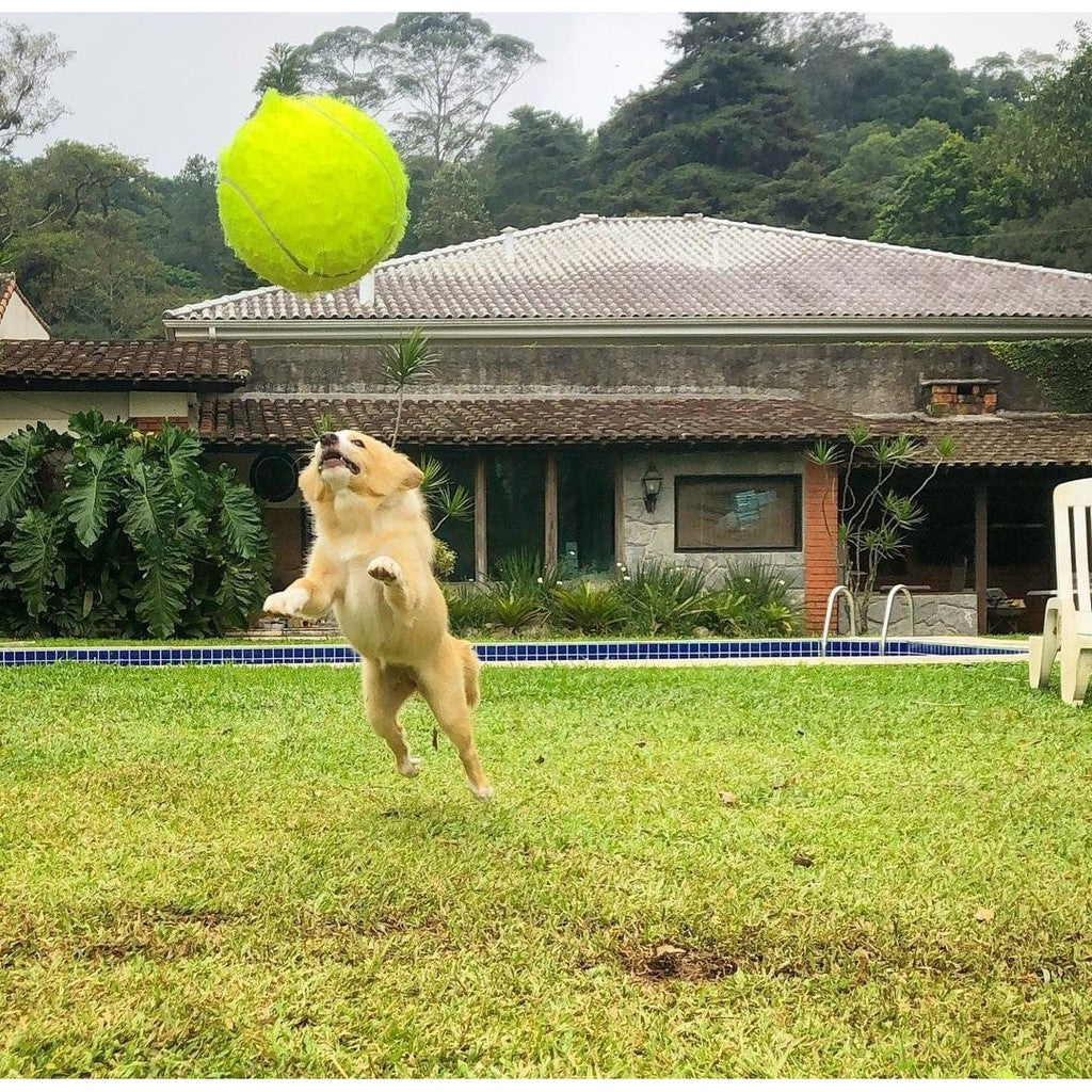 Tennisball – Der Riesenball für Hunde