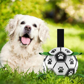 PataGol™ - Abenteuerball für Hunde 