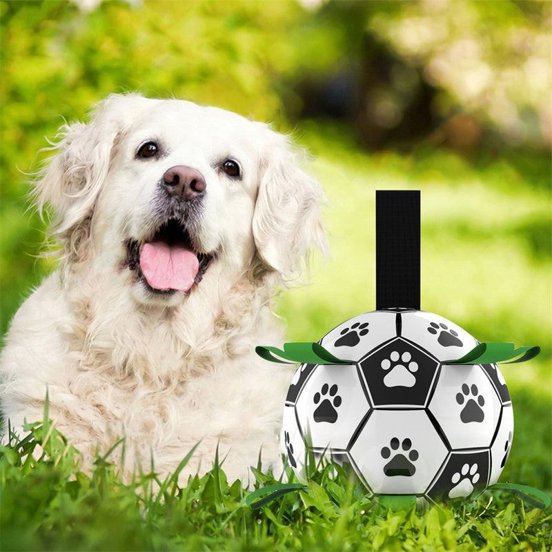 PataGol™ - Abenteuerball für Hunde 