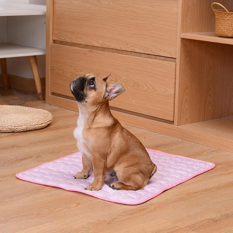 Erfrischungsmatte für Hunde und Katzen
