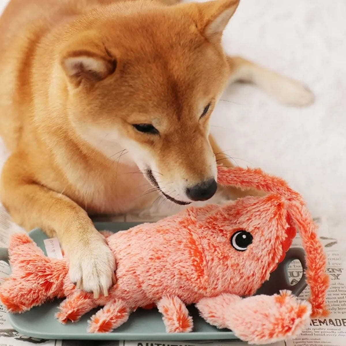 Lagostinha Pet – Interaktives Hummerspielzeug für Hunde 