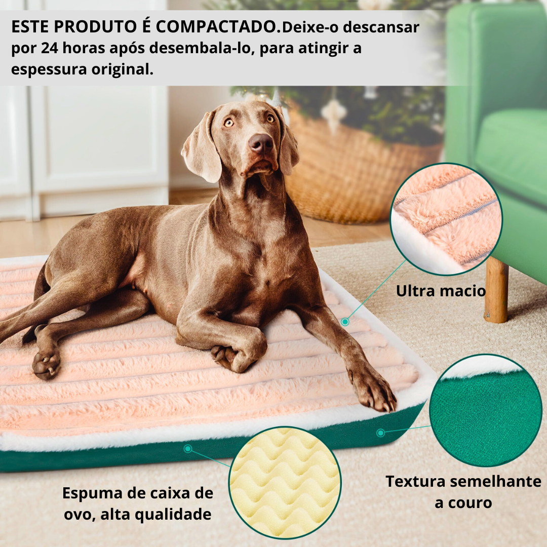 Haustier-Kingsize-Bett | Für Hunde und Katzen 