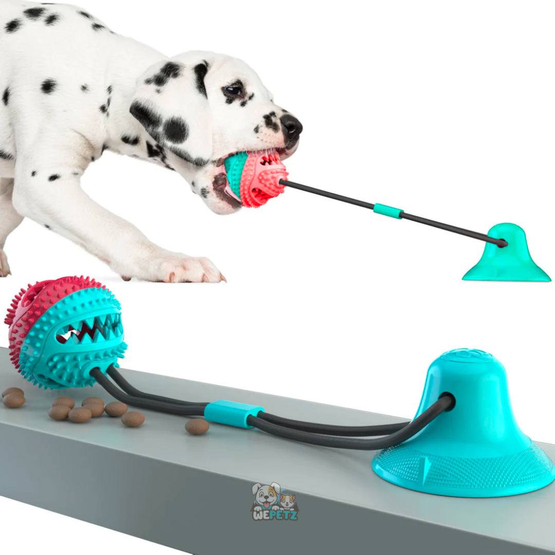 Tauziehen-Spielzeug mit Leckerli-Halter und Beißring für Hunde 