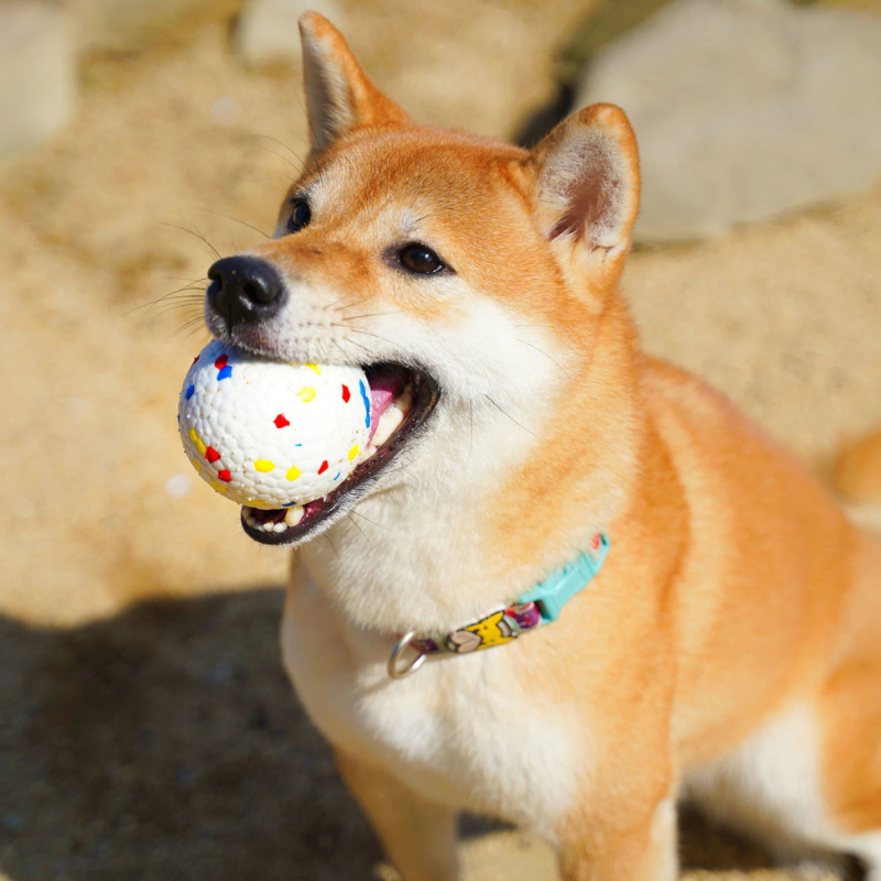 Unwiderstehlicher, widerstandsfähiger Ball für Hunde