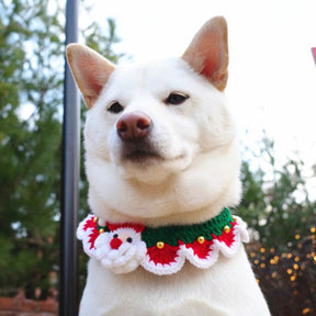Weihnachtskette für Haustiere | Für Hunde und Katzen