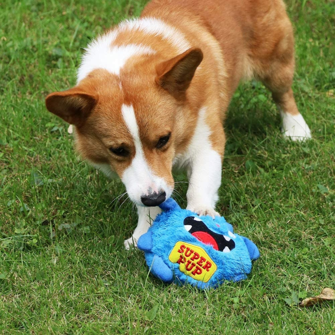 Kleiner Monsterfreund